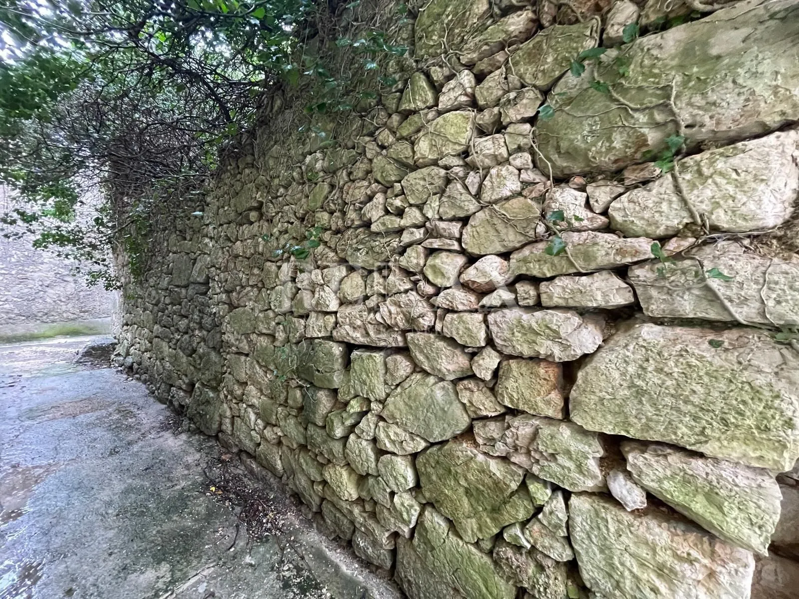 bribir - mirišće (ruševina) s zemljištem - slika 2