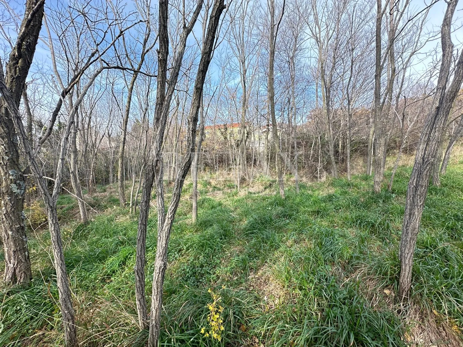 grižane - građevinsko zemljište - slika 10