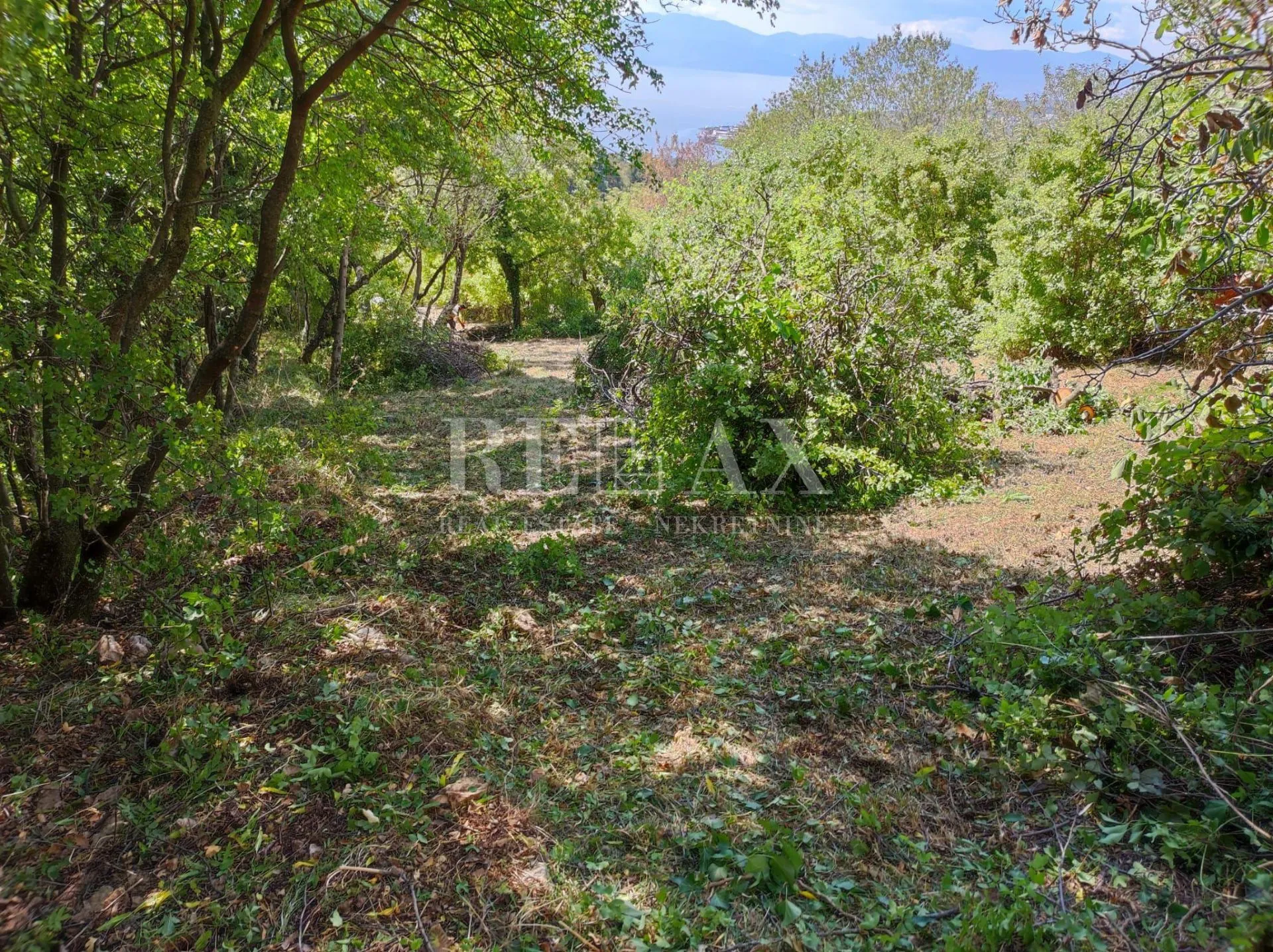 hreljin - starina sa zemljištem - slika 8