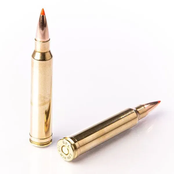 Karabinsko streljivo FIOCCHI 300 Win.Mag. EPN 11,7g / 180gr - Poreč