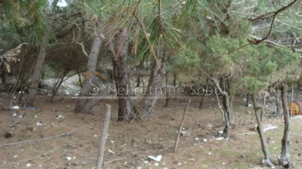 mali lošinj - poljoprivredno, 16951 m2 prodaja - slika 8