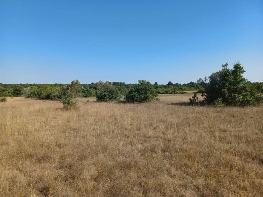 vodnjan-5 km od fažane poljoprivredno zemljište na prodaji - slika 2