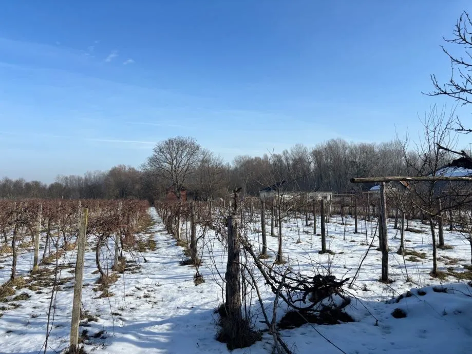 građevinsko zemljište, josipovac, 6000 m2 - slika 7