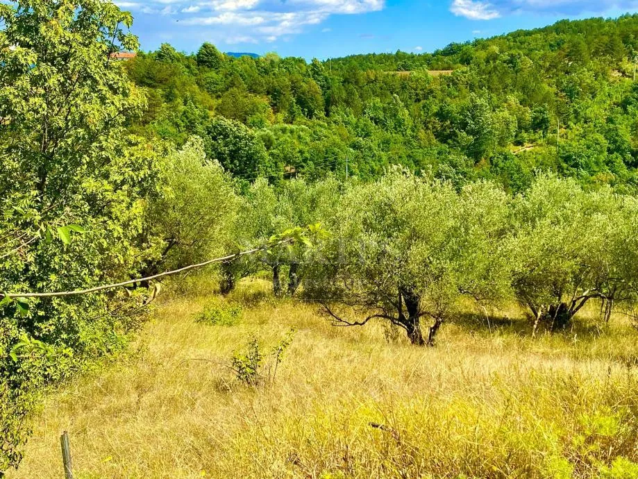 prilika! građ. zemljište, istra-draguć, 2257m2 - slika 4