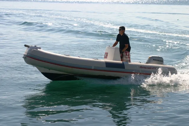 ronjenje s barracudom 470 *cijena na upit - slika 11