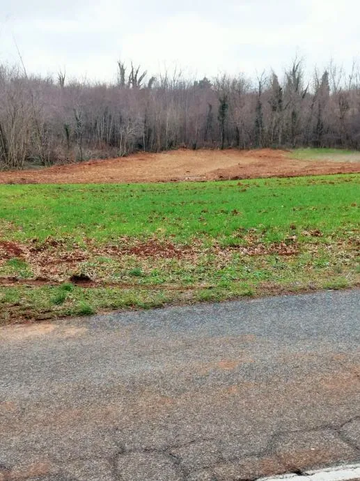 istra, barban, prodaja poljoprivrednog zemljišta 11700 m2 - slika 9