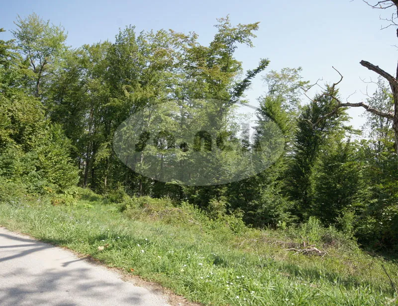 gradilište - bregana - slika 3