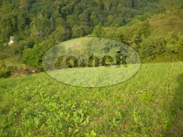 poljoprivredno zemljište na svetonedeljskom bregu - slika 2