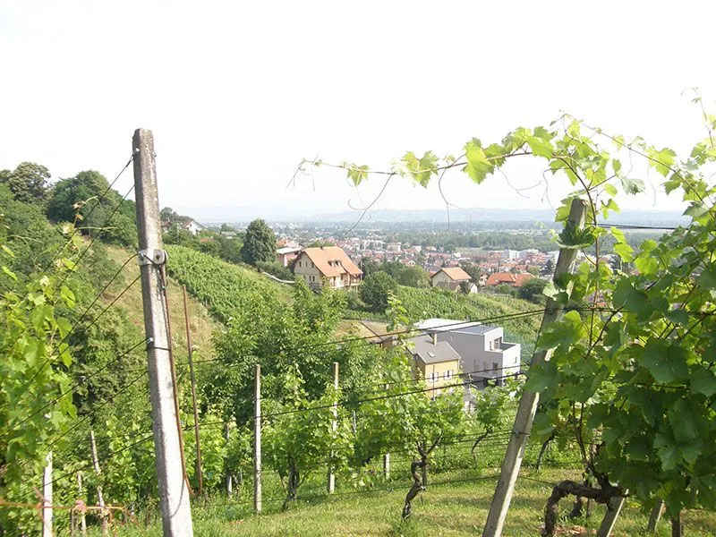 zemljište na jelenščaku - samobor - slika 2