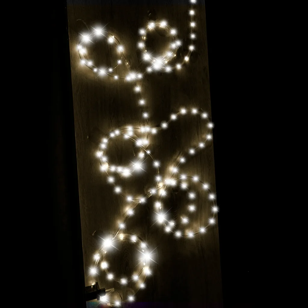 100 led svjetla u crijevu 10m hladno bijela - slika 9