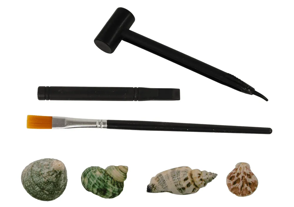 dječji set za iskopavanje školjki - slika 5