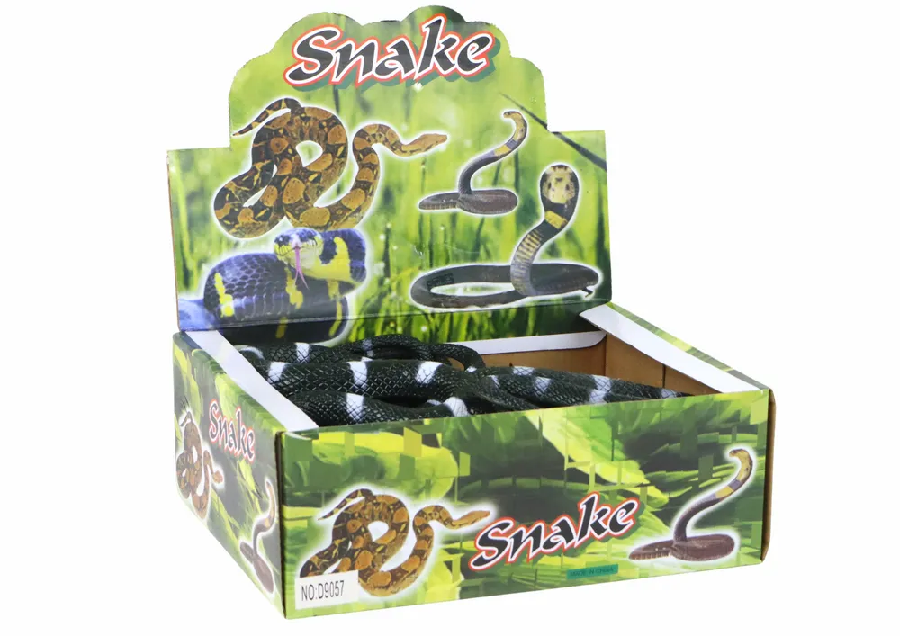 zmija piton crna - slika 5