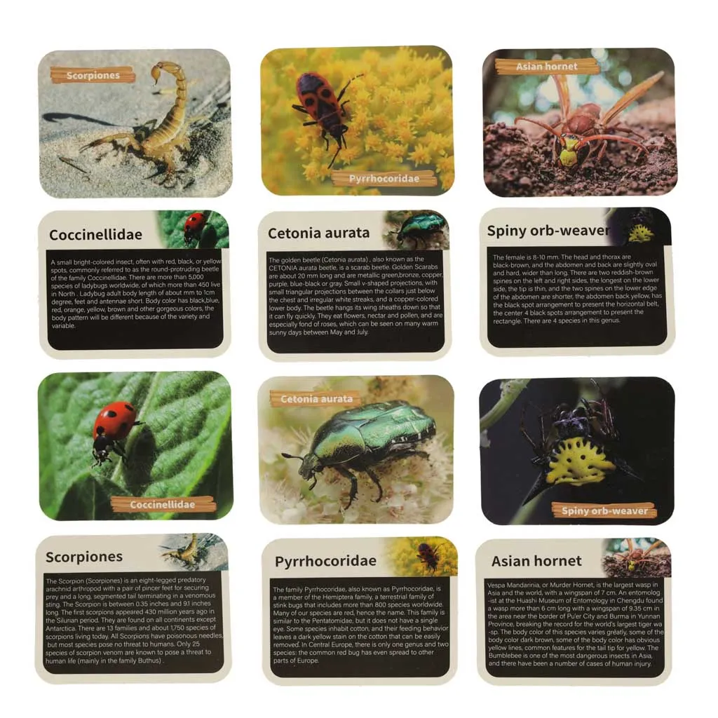 arheološka iskapanja insekti u jantaru - slika 6