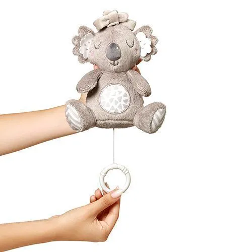 plišana igračka koala s glazbenom kutijom - slika 3