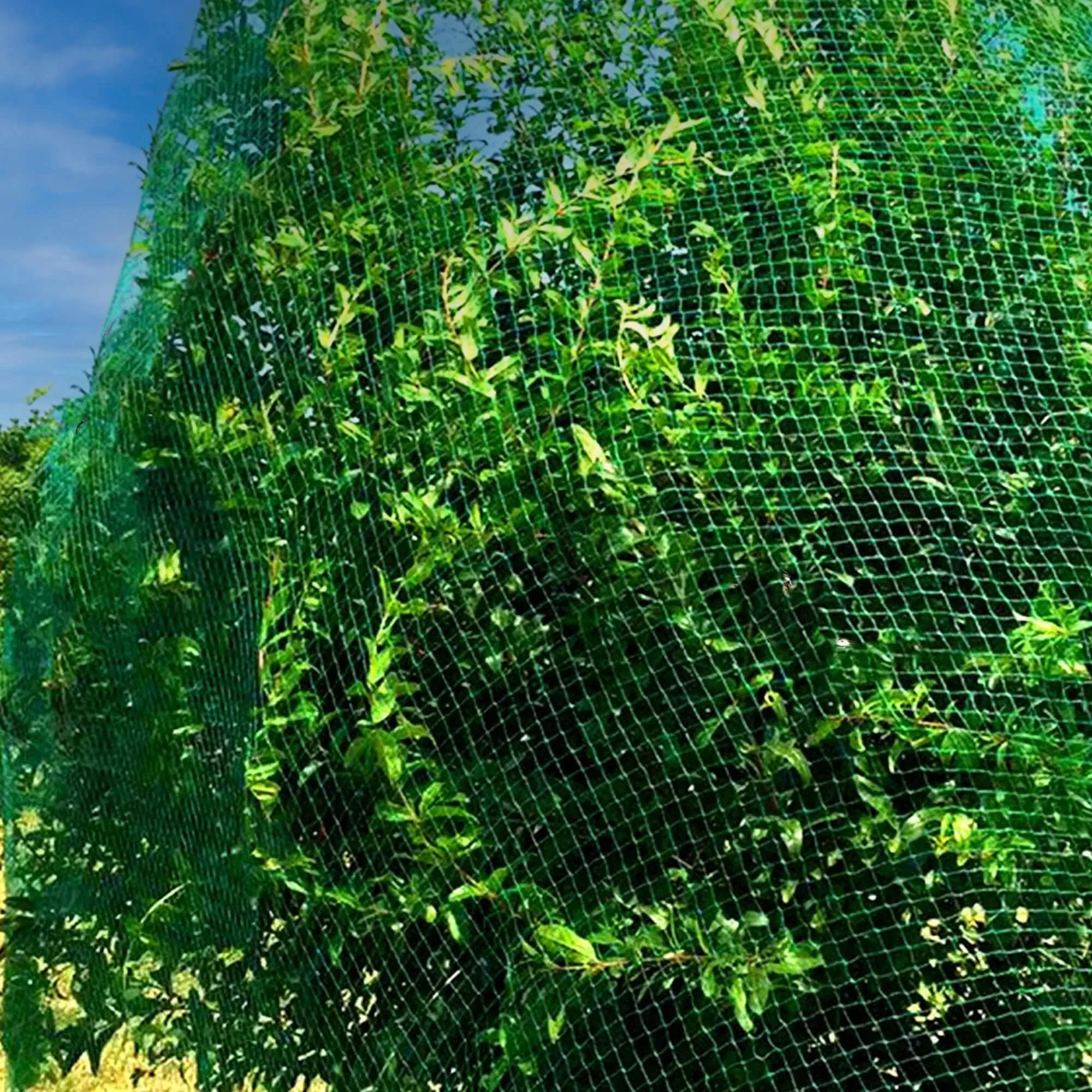 mreža protiv ptice 10x20 m + 20 sidara - slika 7