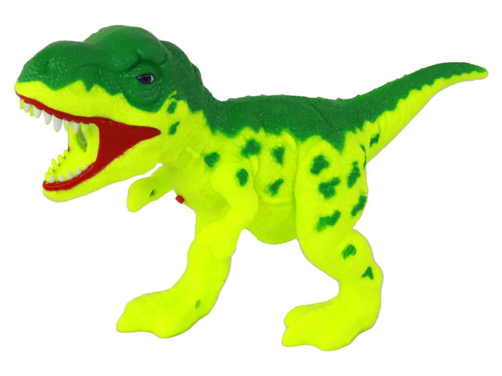 dinosaur projektor - slika 4