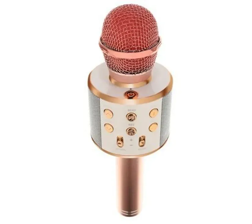 karaoke mikrofon s zvučnikom rozi - slika 2