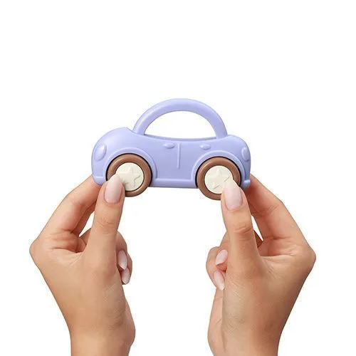 šarena zvečka, auto - slika 3