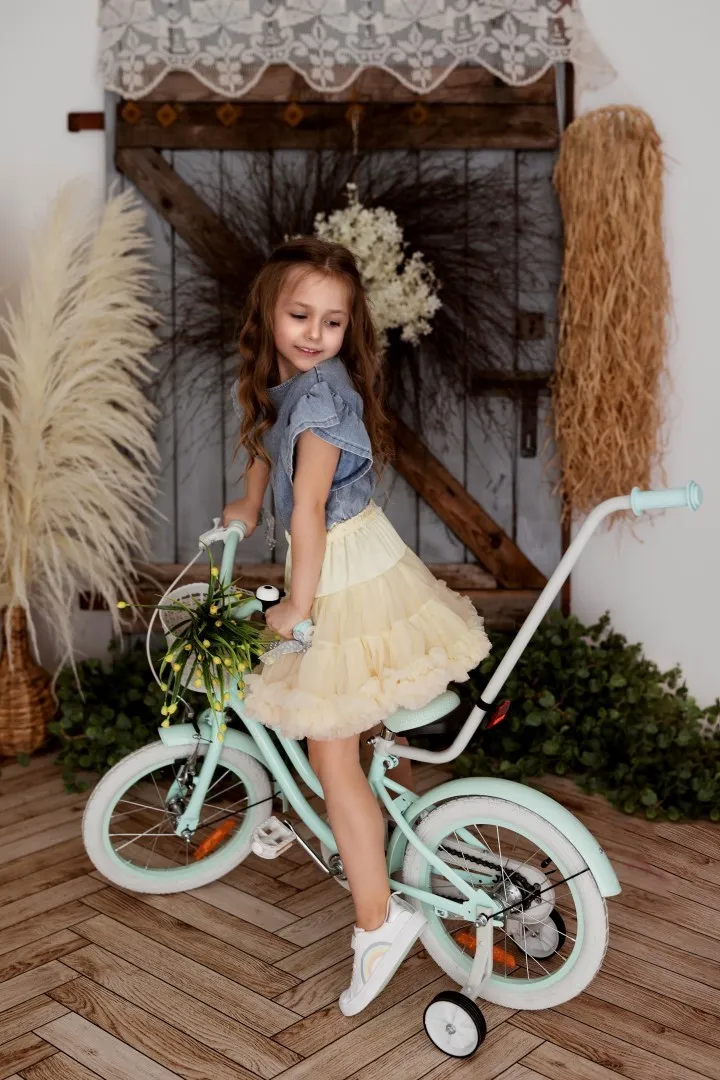 heart bike silver moon 16'' mint - slika 7