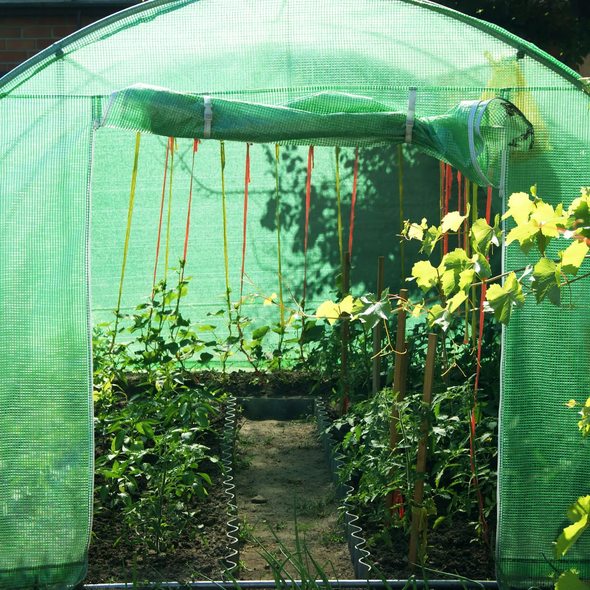 folija za vrtni plastenik 2 × 2 × 2 m - slika 3