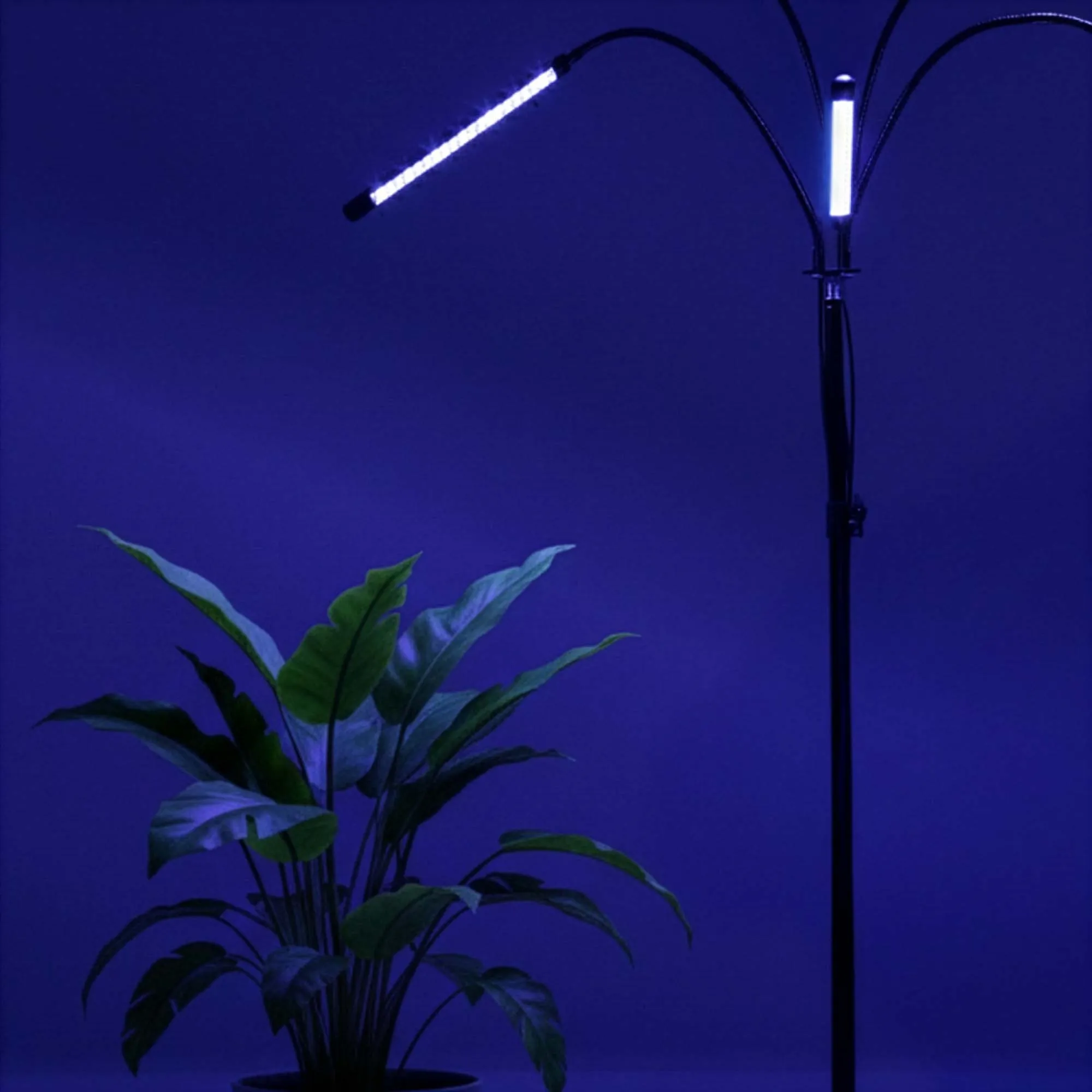 led svjetlo za biljke ljubičasta (crvena + plava), crvena, plav - slika 11