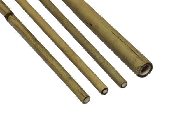 Bambusovi potporni štapovi za biljke, promjera 12–14 mm, duljine 120 cm, pakiranje 5 komada - Pribislavec
