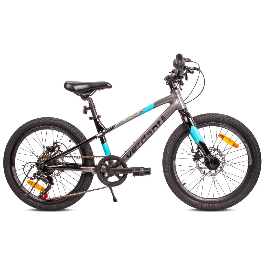dječji bicikl verdant alder 20" sivo-plavi - slika 10