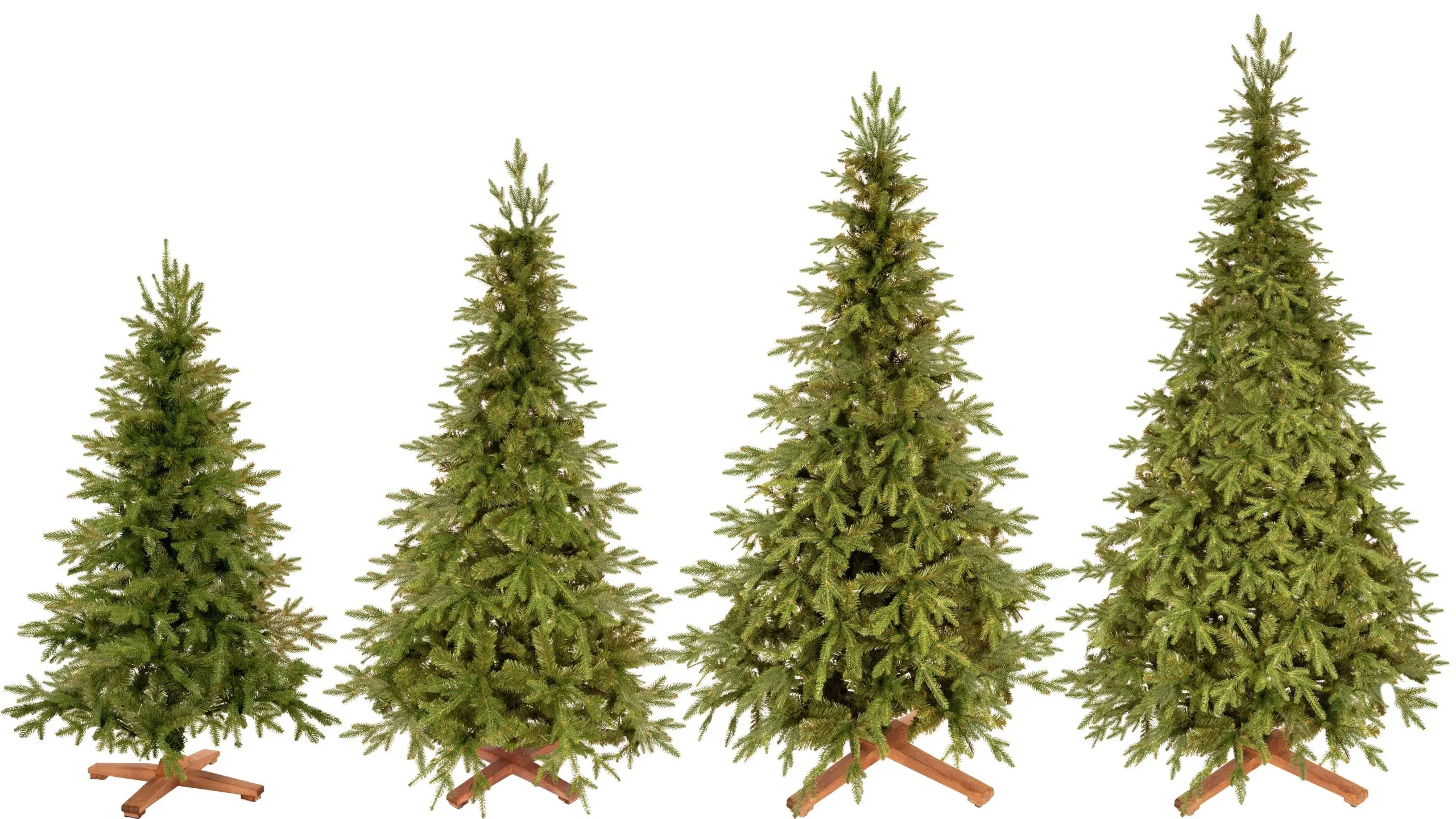royal trees umjetno božićno drvce – himalajska jela premium 240 cm - slika 2