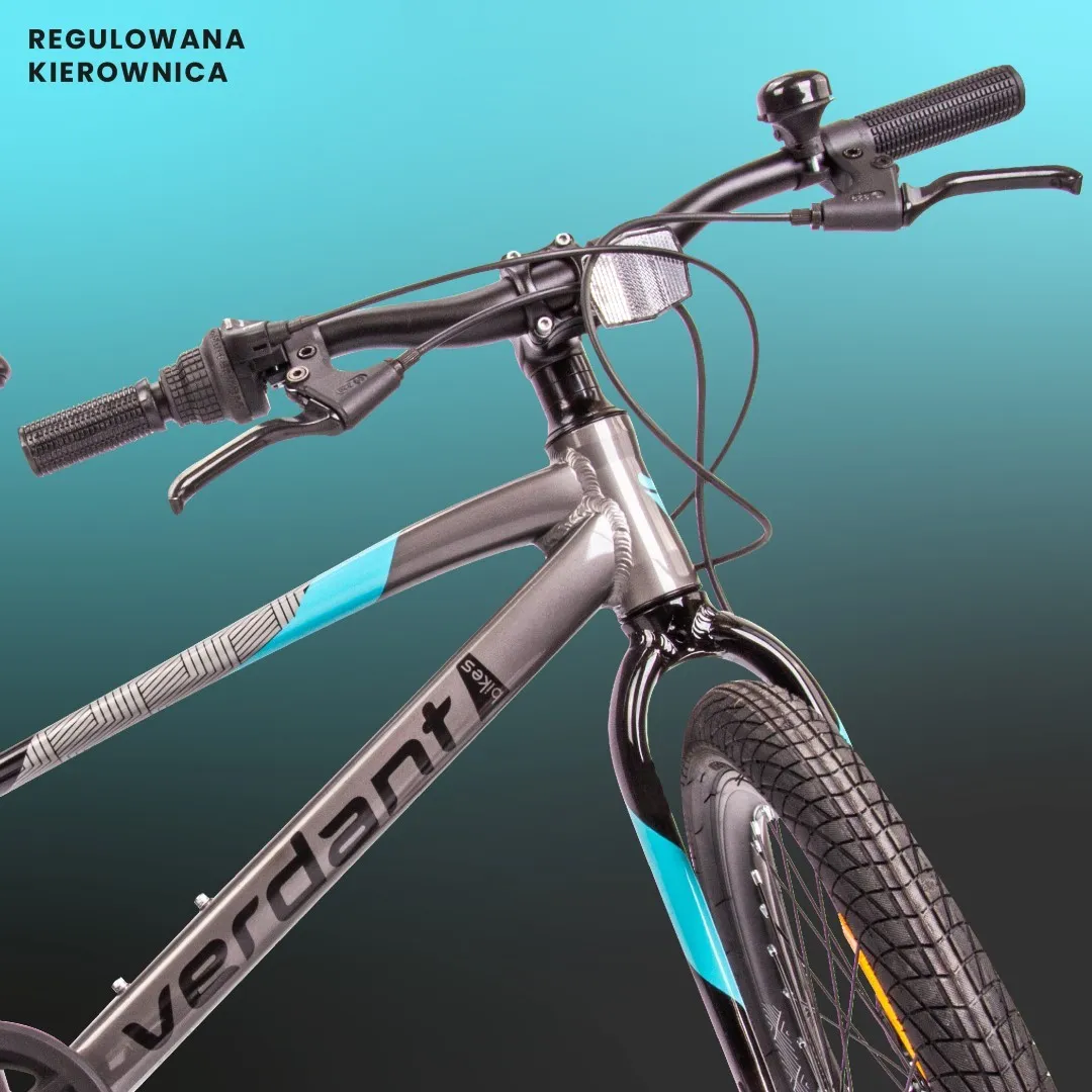 dječji bicikl verdant alder 20" sivo-plavi - slika 7