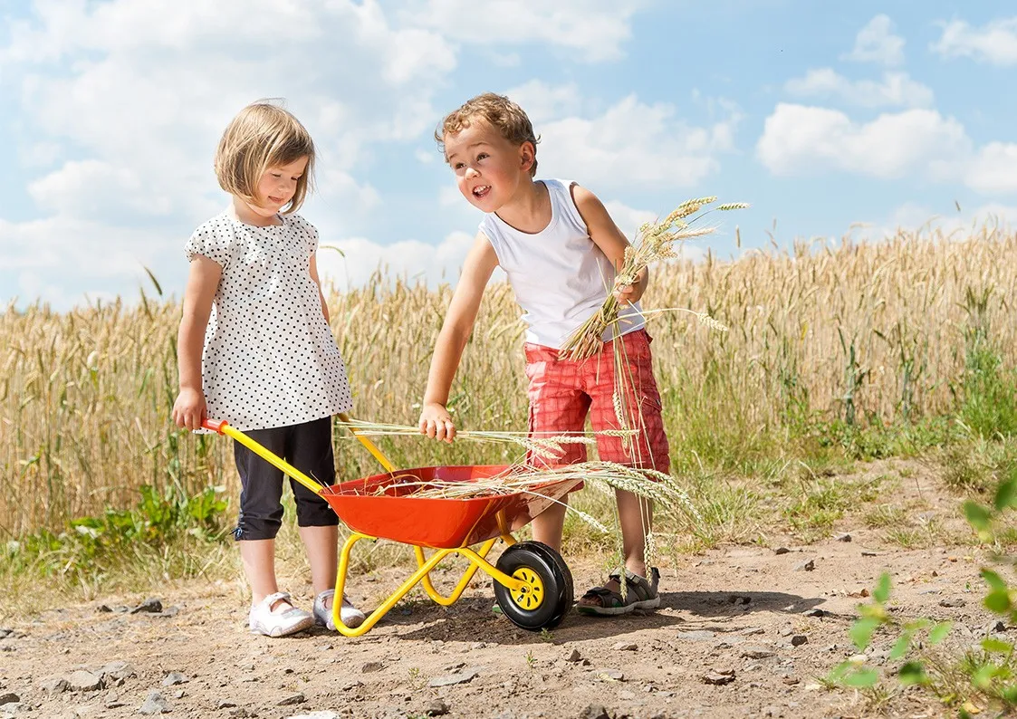 rolly toys crvena metalna kolica za djecu - slika 4