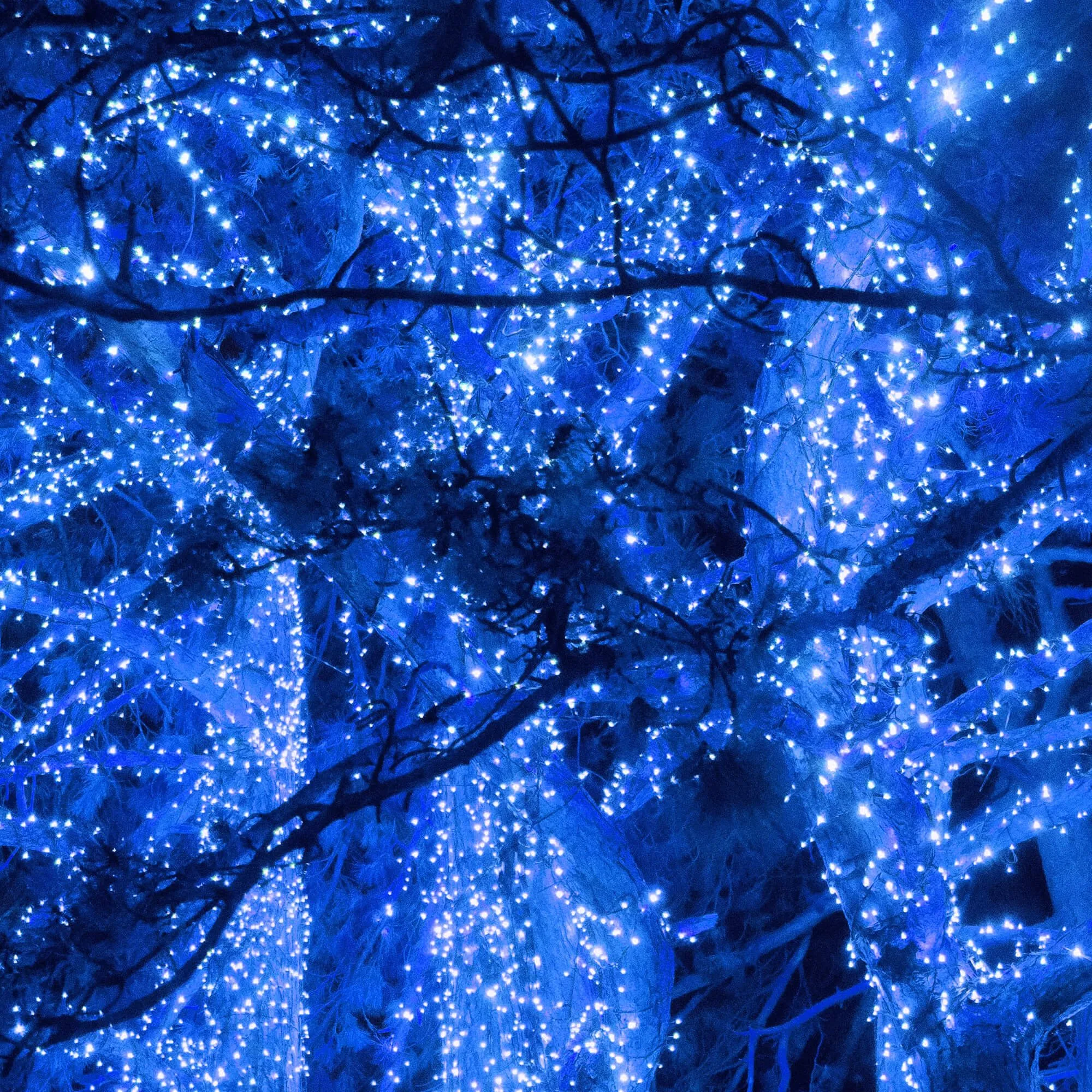 springos božićne lampice, 500 led, 31,5 m ,plava - slika 3