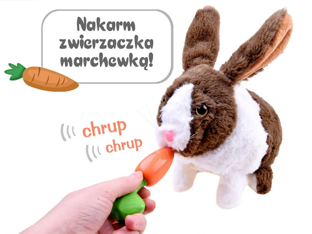 interaktivni zeko za2685 - slika 5