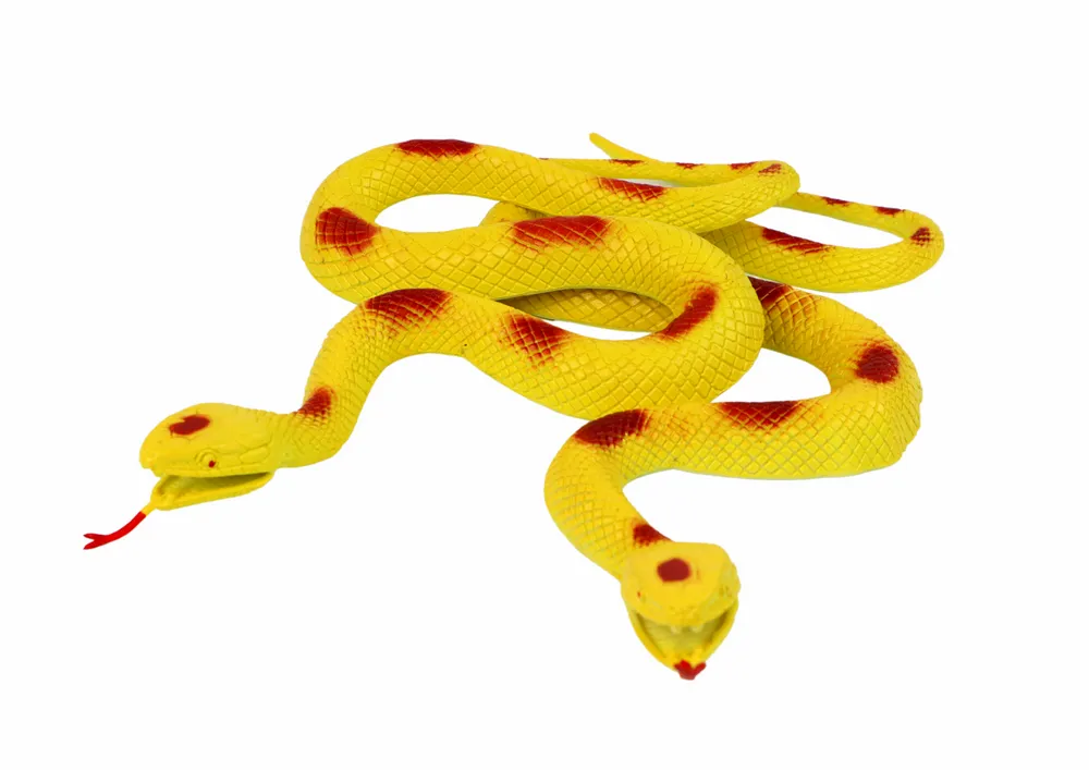 zmija piton žuta - slika 3