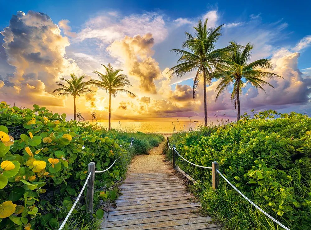 castorland puzzle miami 3000kom. - slika 3