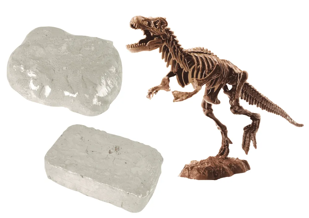 dječji arheološki set 2u1 t-rex - slika 4