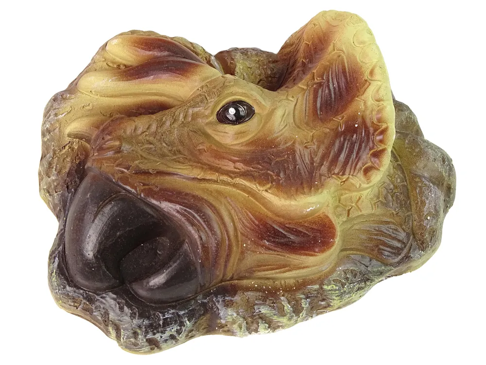 obrazovni set za iskopavanje dinosaura triceratopsa - slika 4