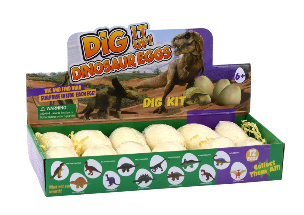 arheološki set jaja dinosaura s edukativnim karticama 12 kom - slika 4