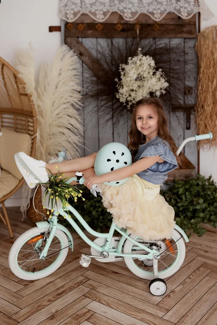 heart bike silver moon 16'' mint - slika 8