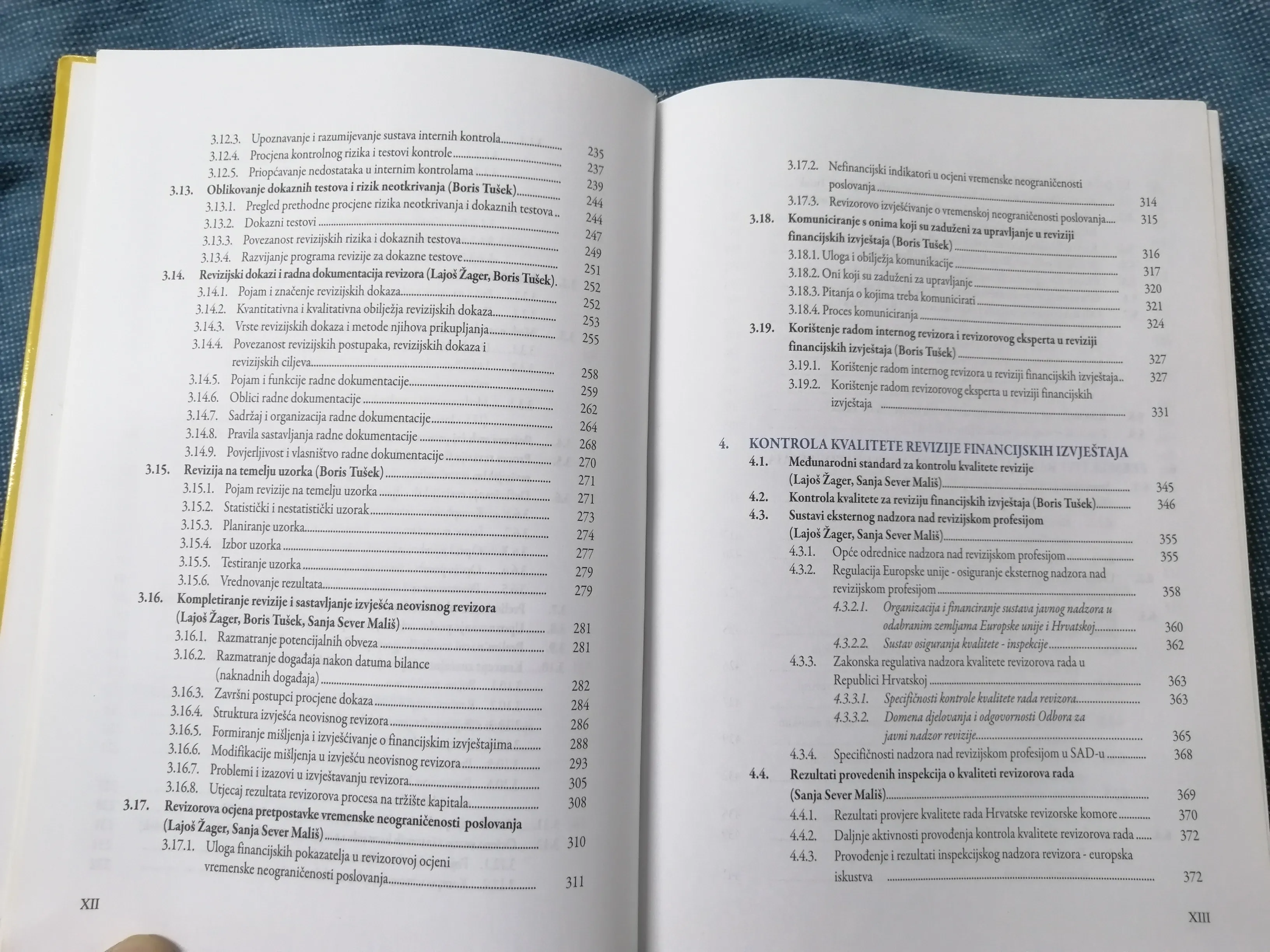 sanja sever mališ, boris tušek, lajoš žagar – revizija - slika 6