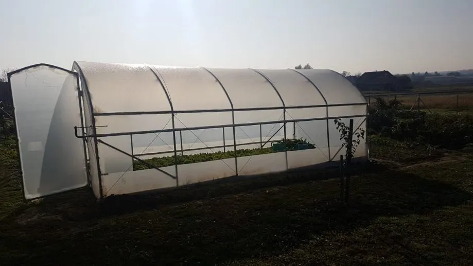 plastenik - 2,6m širine - slika 19