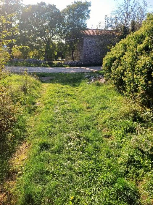 labin, ripenda kras- 4 km od rapca, 43000 m2 poljoprivredno zemljište - slika 2
