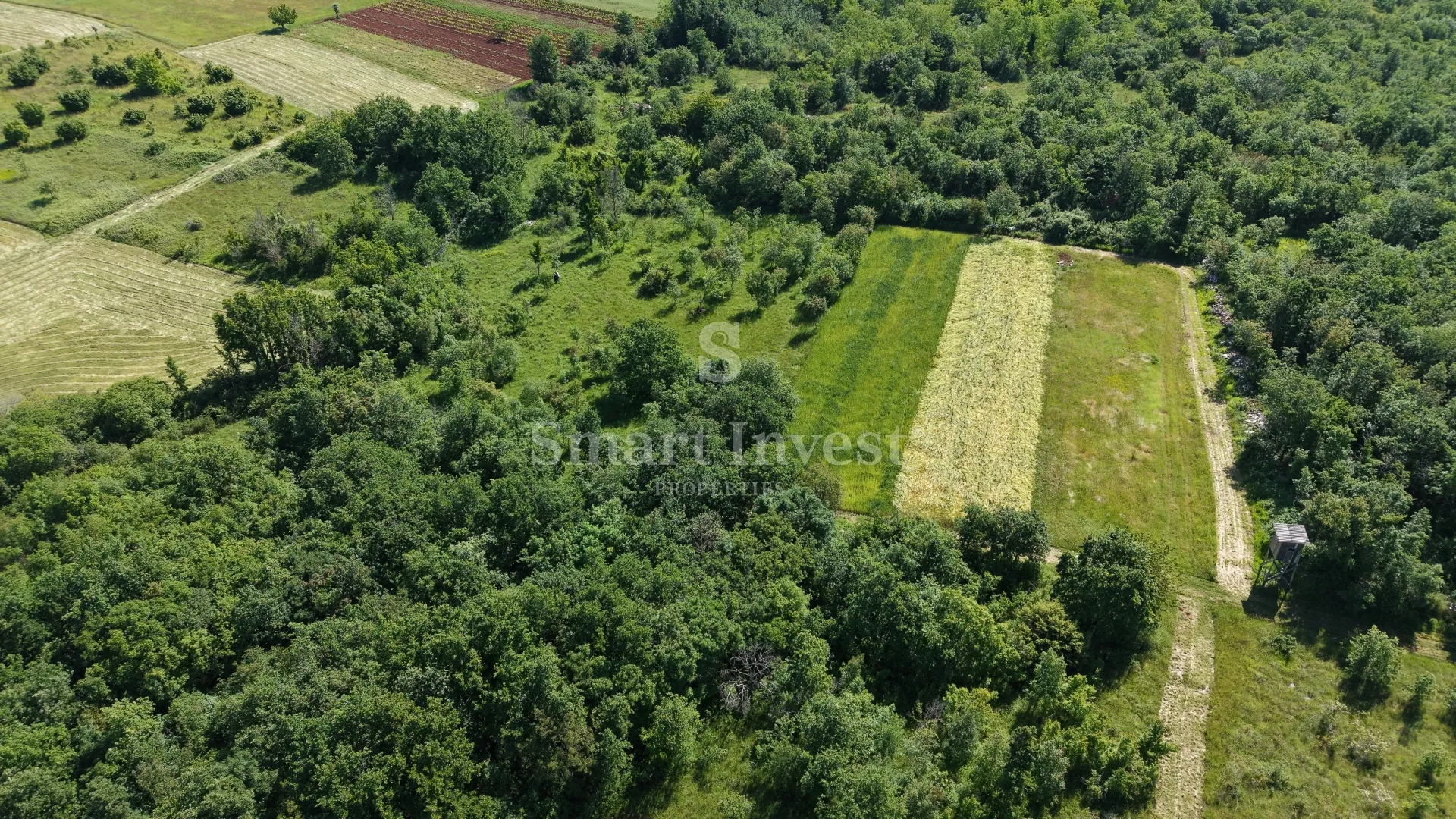 višnjan - žužići, poljoprivredno zemljište od 5694 m2 - slika 4