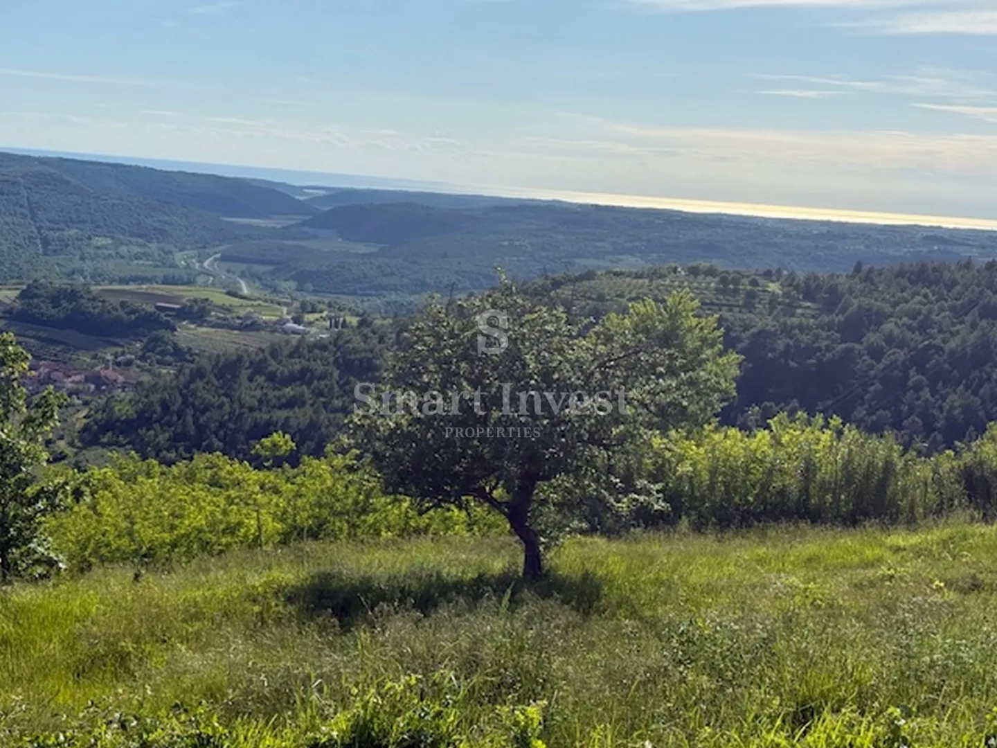 istra - završje, prekrasan teren od 3497 m2, sa idejnim projektom - slika 2