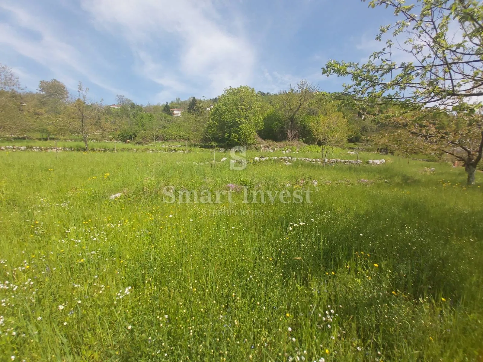 rukavac, kuća s 5.500 m2 okućnice - slika 5