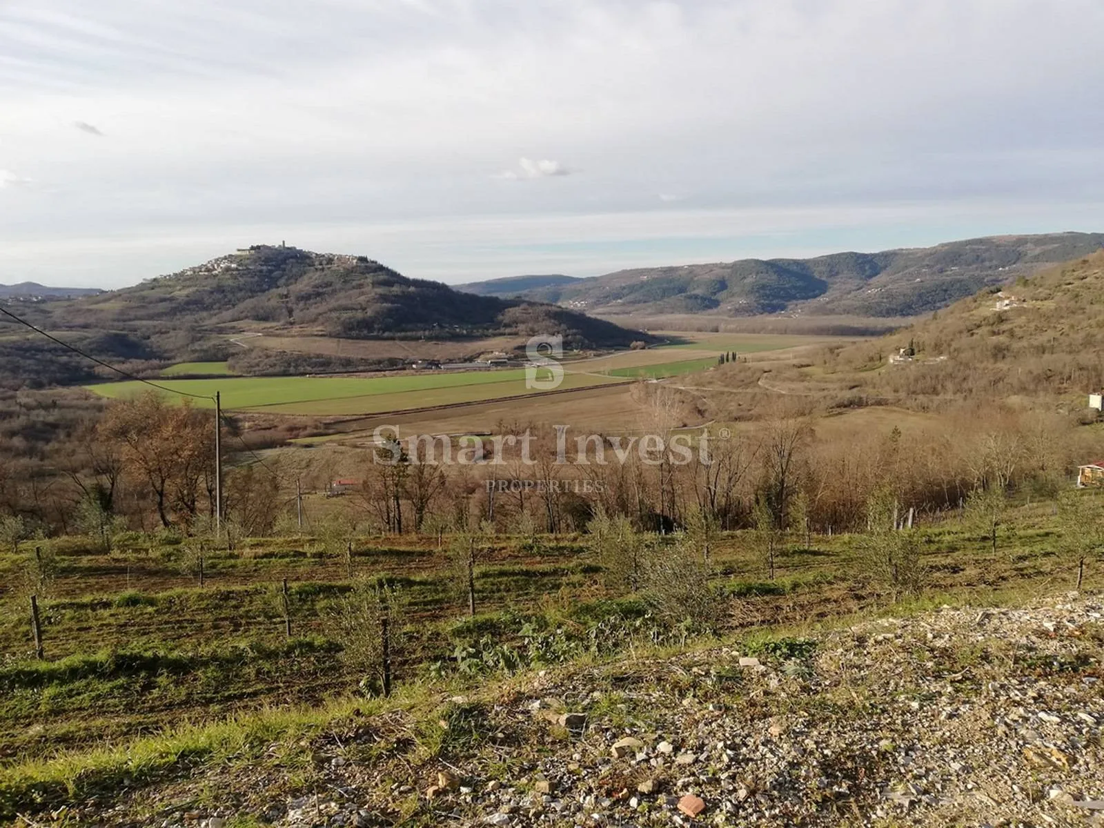 motovun, zemljište od 53940 m2 - slika 11