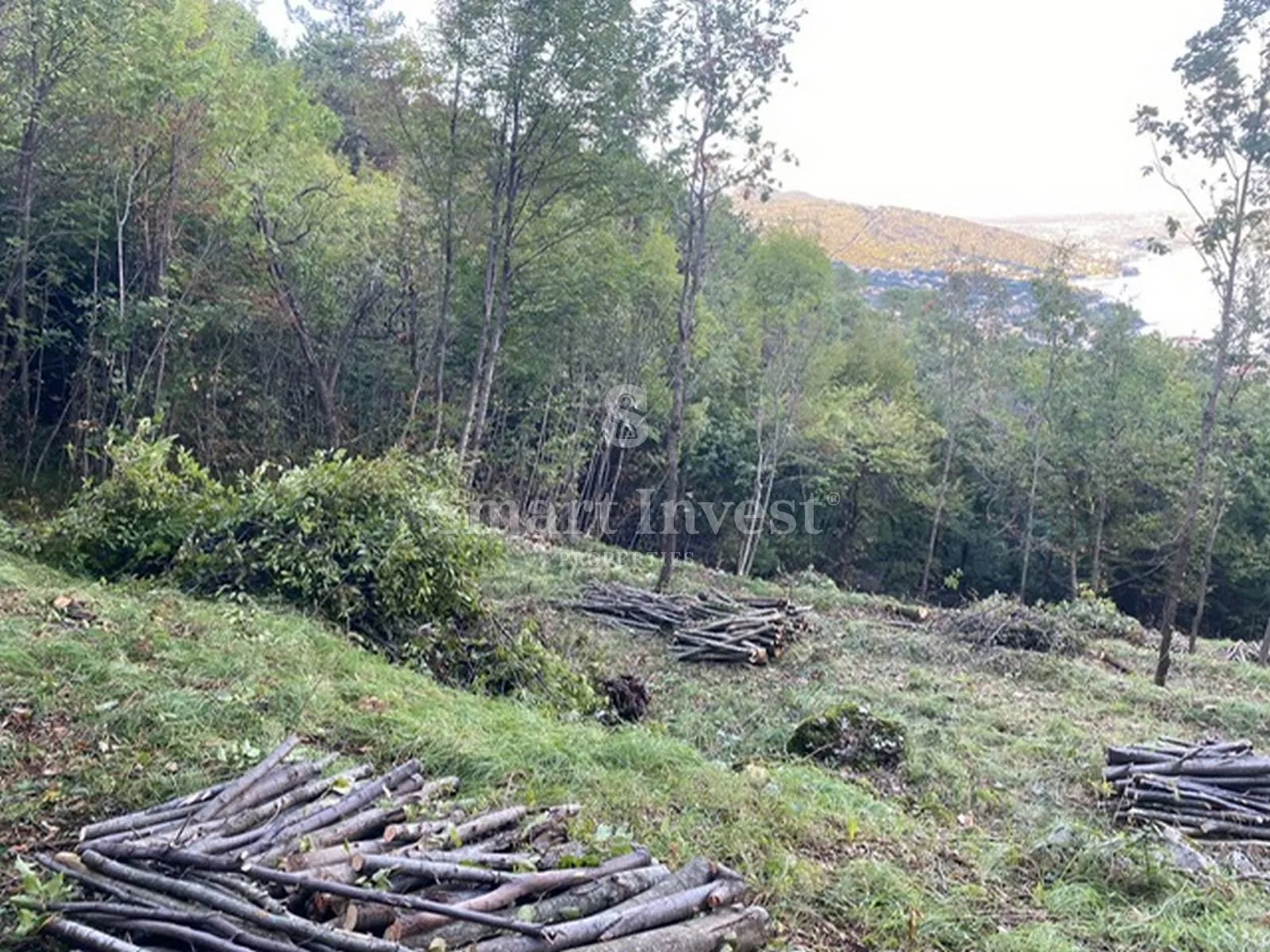 lovran, građevinsko zemljište od 3055 m2 s pogledom na more - slika 2