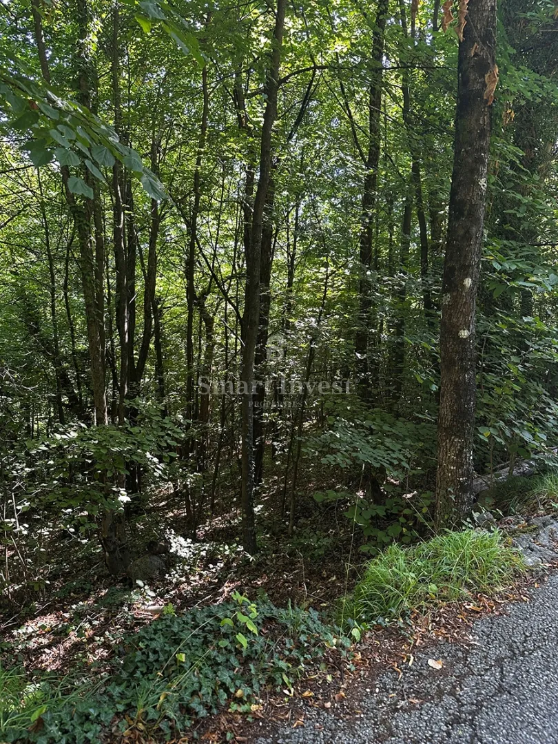 matulji - rukavac, dvojna starina na mirnoj lokaciji! - slika 14