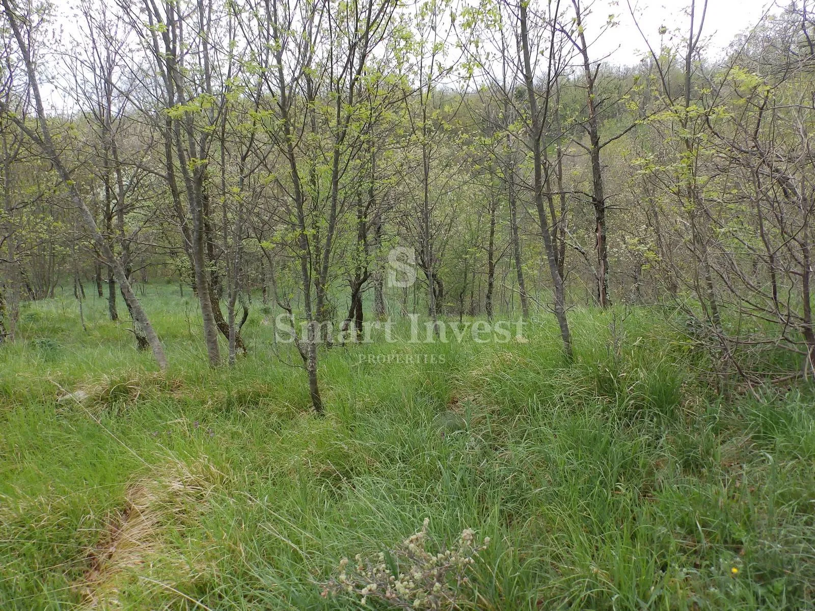 VIŠKOVO - KOSI, građevinski teren od 5144 m2 - Kosi, Viškovo