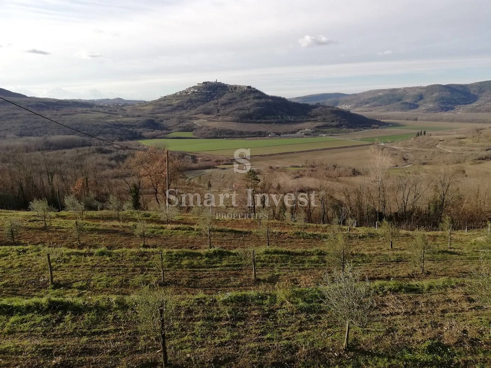 motovun, zemljište od 53940 m2 - slika 14