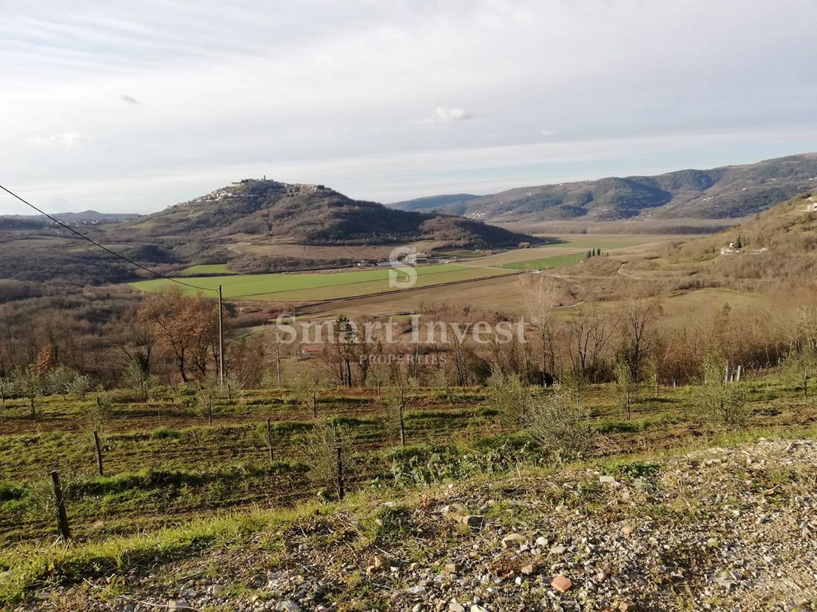 motovun, zemljište od 53940 m2 - slika 13